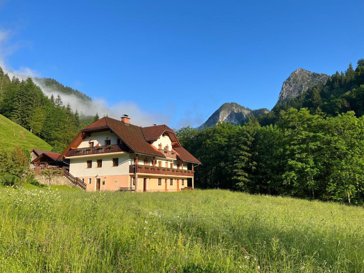 Na Logu - Farm Ambroz Gregorc Solcava