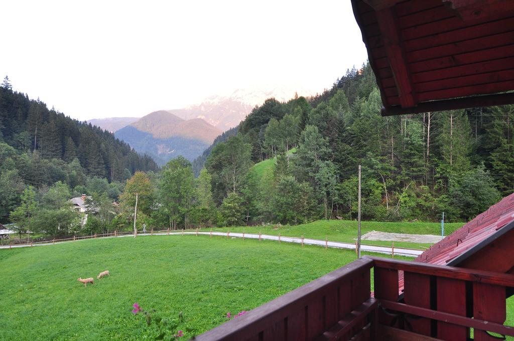 Farm stay Na Logu - Farm Ambroz Gregorc *