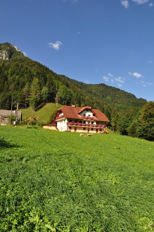 Na Logu - Farm Ambroz Gregorc * Solcava