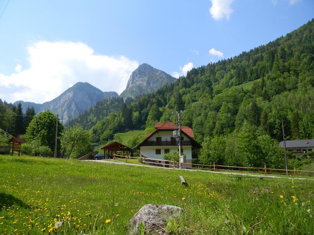 Na Logu - Farm Ambroz Gregorc